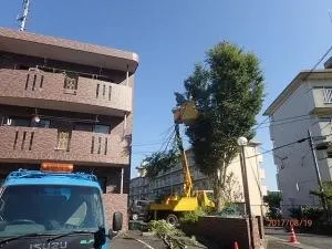 /image/個人庭園管理 (4).jpg