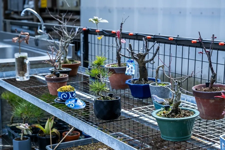 /image/善八緑地開発 (12).jpg