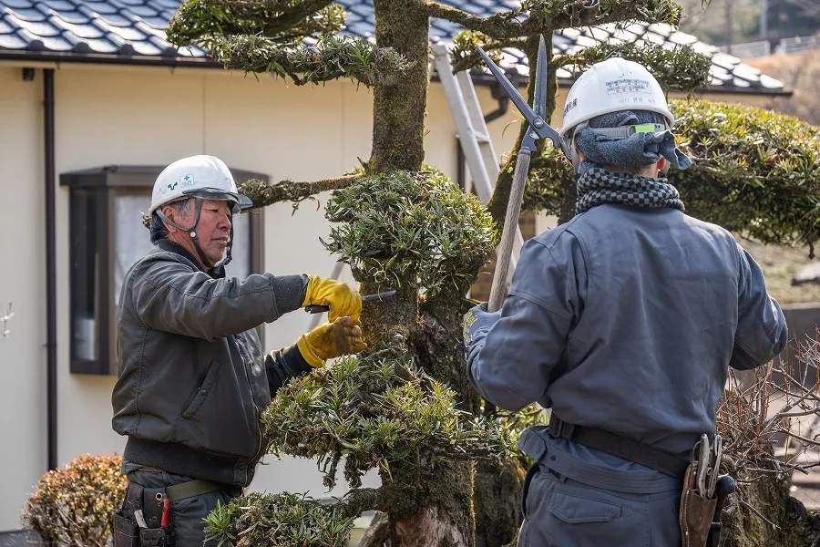 /image/善八緑地開発 (25).jpg