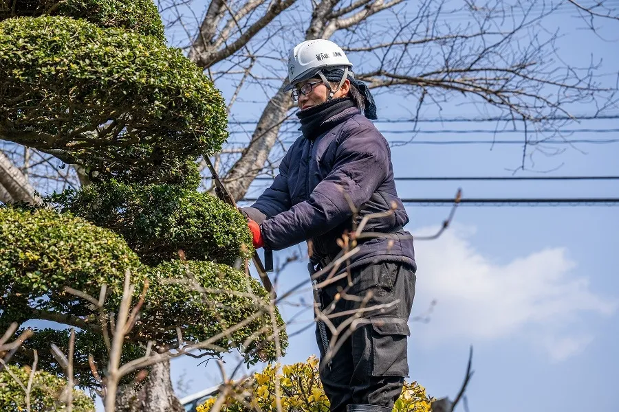 /image/善八緑地開発 (32).jpg