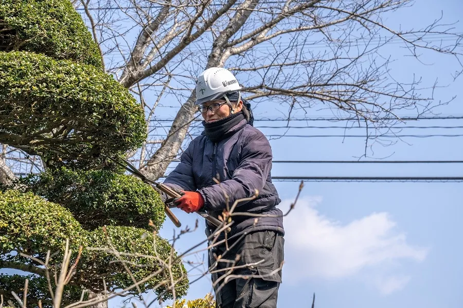 /image/善八緑地開発 (33).jpg