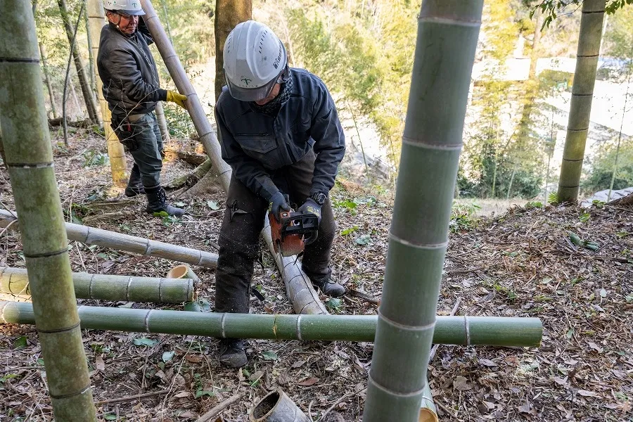 /image/善八緑地開発 (43).jpg