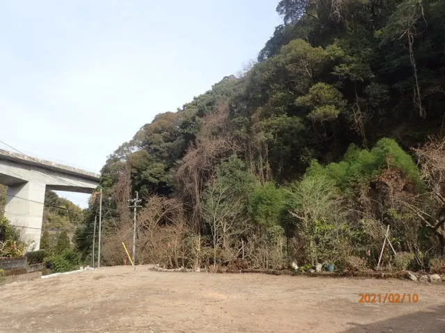 /image/P2100045.JPG