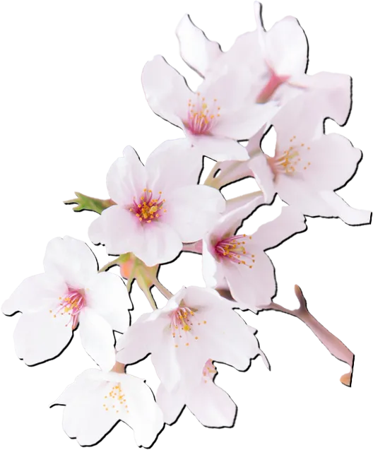/image/design04_img03.png