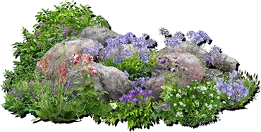 /image/design04_img04.png