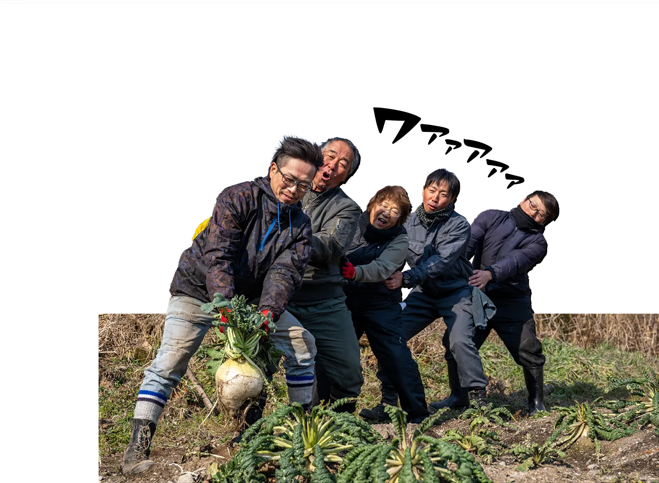 /image/design08_img02.png