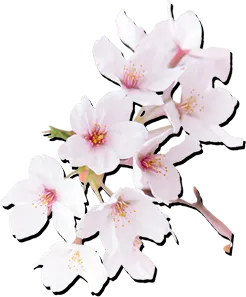 /image/sp_design04_img03.png